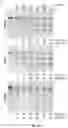 Fig. 03 - CRISPR-cas9 SYSTEM AND USES THEREOF