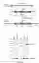Fig. 10 - CRISPR-cas9 SYSTEM AND USES THEREOF