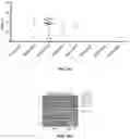 Fig. 28 - CRISPR-cas9 SYSTEM AND USES THEREOF