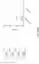 Fig. 31 - CRISPR-cas9 SYSTEM AND USES THEREOF