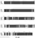 Fig. 50 - CRISPR-cas9 SYSTEM AND USES THEREOF