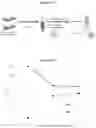 Fig. 03 - EXOSOMES AND MICRO-RIBONUCLEIC ACIDS FOR TISSUE REGENERATION