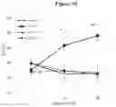 Fig. 14 - EXOSOMES AND MICRO-RIBONUCLEIC ACIDS FOR TISSUE REGENERATION