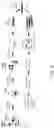 Fig. 02 - Polycomb-associated Non-Coding RNAs