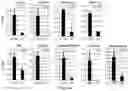 Fig. 15 - Polycomb-associated Non-Coding RNAs