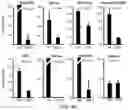 Fig. 16 - Polycomb-associated Non-Coding RNAs