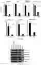 Fig. 17 - Polycomb-associated Non-Coding RNAs