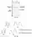 Fig. 19 - Polycomb-associated Non-Coding RNAs