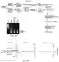 Fig. 25 - Polycomb-associated Non-Coding RNAs