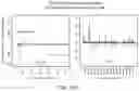 Fig. 40 - Polycomb-associated Non-Coding RNAs