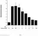 Fig. 03 - FORMULATION
