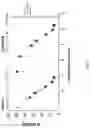 Fig. 04 - FORMULATION