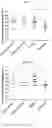 Fig. 12 - FORMULATION