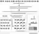 Fig. 01 - METHOD FOR RECONSTRUCTING COMPLEX BIOLOGICAL SYSTEM ON THE BASIS OF POLYPROTEIN, AND USE THEREOF IN HIGH ACTIVITY SUPER SIMPLIFIED NITROGEN FIXATION SYSTEM CONSTRUCTION