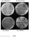 Fig. 05 - METHOD FOR RECONSTRUCTING COMPLEX BIOLOGICAL SYSTEM ON THE BASIS OF POLYPROTEIN, AND USE THEREOF IN HIGH ACTIVITY SUPER SIMPLIFIED NITROGEN FIXATION SYSTEM CONSTRUCTION
