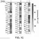 Fig. 04 - SCALABLE PEPTIDE-GPCR INTERCELLULAR SIGNALING SYSTEMS