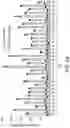 Fig. 08 - SCALABLE PEPTIDE-GPCR INTERCELLULAR SIGNALING SYSTEMS