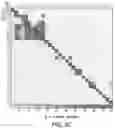 Fig. 12 - SCALABLE PEPTIDE-GPCR INTERCELLULAR SIGNALING SYSTEMS