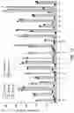 Fig. 19 - SCALABLE PEPTIDE-GPCR INTERCELLULAR SIGNALING SYSTEMS
