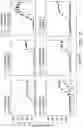 Fig. 20 - SCALABLE PEPTIDE-GPCR INTERCELLULAR SIGNALING SYSTEMS