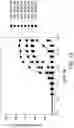 Fig. 24 - SCALABLE PEPTIDE-GPCR INTERCELLULAR SIGNALING SYSTEMS