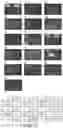 Fig. 28 - SCALABLE PEPTIDE-GPCR INTERCELLULAR SIGNALING SYSTEMS