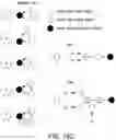 Fig. 31 - SCALABLE PEPTIDE-GPCR INTERCELLULAR SIGNALING SYSTEMS