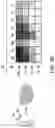 Fig. 37 - SCALABLE PEPTIDE-GPCR INTERCELLULAR SIGNALING SYSTEMS