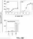 Fig. 50 - SCALABLE PEPTIDE-GPCR INTERCELLULAR SIGNALING SYSTEMS