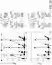 Fig. 53 - SCALABLE PEPTIDE-GPCR INTERCELLULAR SIGNALING SYSTEMS