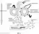 Fig. 07 - Preparation and use of plant embryo explants for transformation