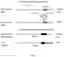 Fig. 05 - GENOME EDITING TO INCREASE SEED PROTEIN CONTENT