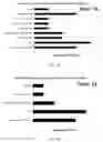 Fig. 09 - TRANSGENIC PLANTS AND METHOD OF FACILITATING TRANSFORMATION THEREOF