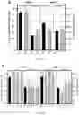 Fig. 18 - TRANSGENIC PLANTS AND METHOD OF FACILITATING TRANSFORMATION THEREOF