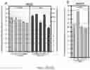 Fig. 22 - TRANSGENIC PLANTS AND METHOD OF FACILITATING TRANSFORMATION THEREOF