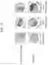 Fig. 12 - Regulatory sequences for modulating transgene expression in plants
