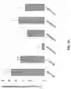 Fig. 17 - Targeted control of pests and pathogens by plant delivery of 2′F-ANA-oligonucleotides