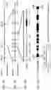 Fig. 04 - Rice gene, and encoding protein and use thereof