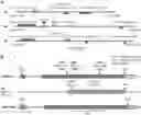 Fig. 01 - Methods for altering starch granule profile