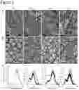 Fig. 03 - Methods for altering starch granule profile