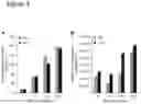 Fig. 04 - Methods for altering starch granule profile