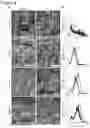 Fig. 05 - Methods for altering starch granule profile