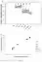 Fig. 10 - Obtaining plants having improved biomass digestibility