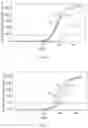 Fig. 03 - GENE THERAPY DNA VECTOR BASED ON GENE THERAPY DNA VECTOR VTVAF17