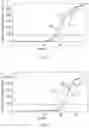 Fig. 04 - GENE THERAPY DNA VECTOR BASED ON GENE THERAPY DNA VECTOR VTVAF17