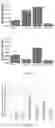 Fig. 08 - GENE THERAPY DNA VECTOR BASED ON GENE THERAPY DNA VECTOR VTVAF17
