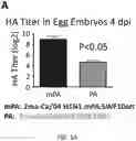 Fig. 02 - Recombinant influenza viruses and constructs and uses thereof