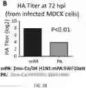 Fig. 05 - Recombinant influenza viruses and constructs and uses thereof