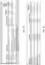 Fig. 23 - Recombinant influenza viruses and constructs and uses thereof