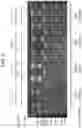 Fig. 10 - CLOSED-ENDED DNA (CEDNA) AND USE IN METHODS OF REDUCING GENE OR NUCLEIC ACID THERAPY RELATED IMMUNE RESPONSE